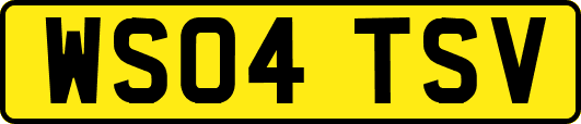 WS04TSV