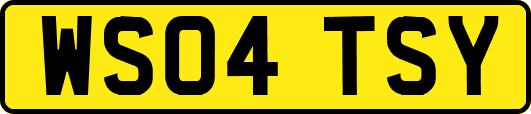WS04TSY