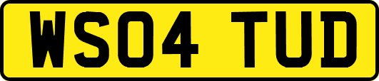 WS04TUD