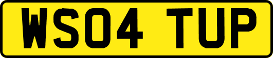 WS04TUP