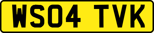 WS04TVK