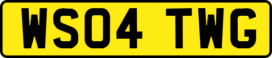WS04TWG