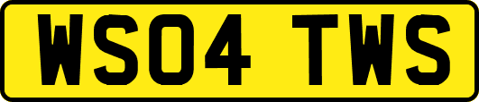 WS04TWS