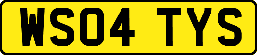 WS04TYS