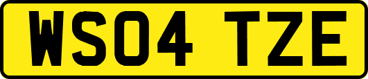WS04TZE