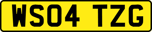 WS04TZG