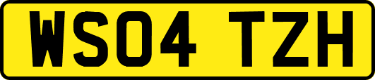 WS04TZH
