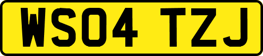 WS04TZJ