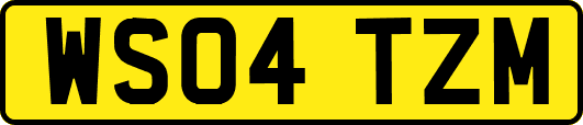 WS04TZM