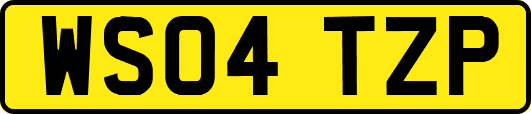 WS04TZP