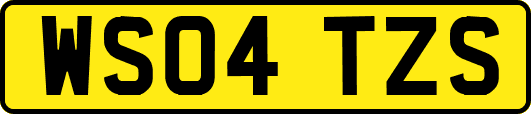 WS04TZS