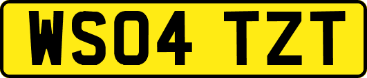 WS04TZT