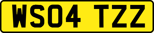 WS04TZZ