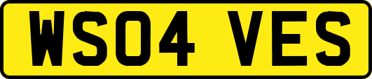 WS04VES