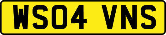 WS04VNS