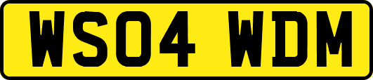 WS04WDM
