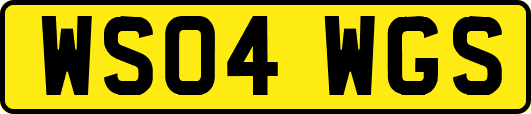 WS04WGS