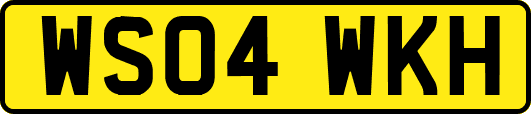 WS04WKH