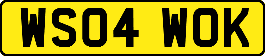 WS04WOK