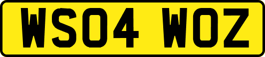 WS04WOZ