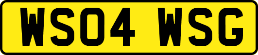 WS04WSG