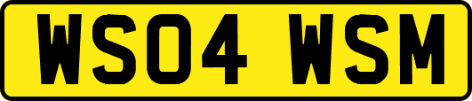 WS04WSM