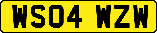WS04WZW