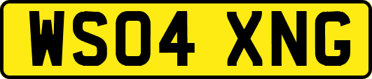 WS04XNG
