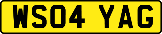 WS04YAG