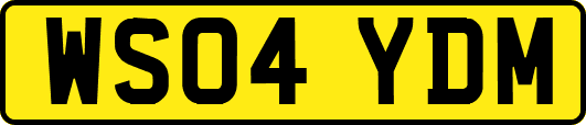 WS04YDM