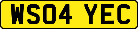 WS04YEC