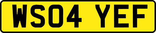 WS04YEF