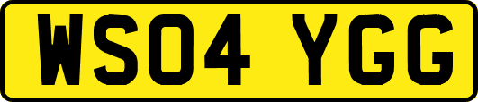 WS04YGG