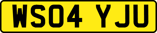 WS04YJU