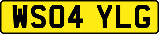WS04YLG