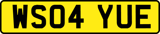 WS04YUE