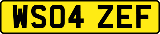 WS04ZEF