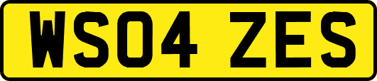 WS04ZES
