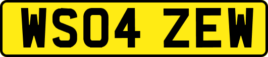 WS04ZEW