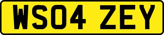 WS04ZEY