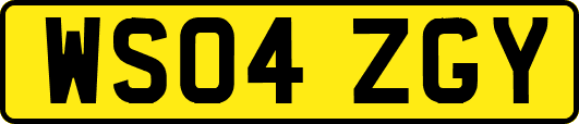 WS04ZGY