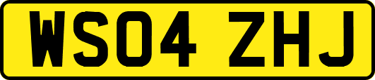WS04ZHJ