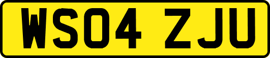 WS04ZJU