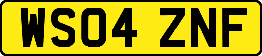 WS04ZNF