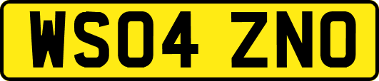 WS04ZNO