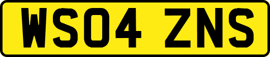 WS04ZNS