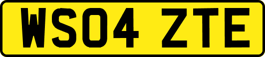 WS04ZTE