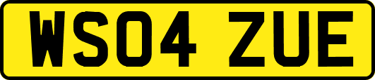 WS04ZUE