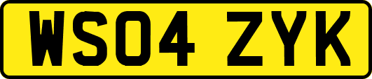 WS04ZYK