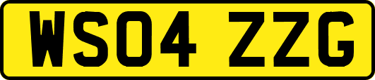 WS04ZZG